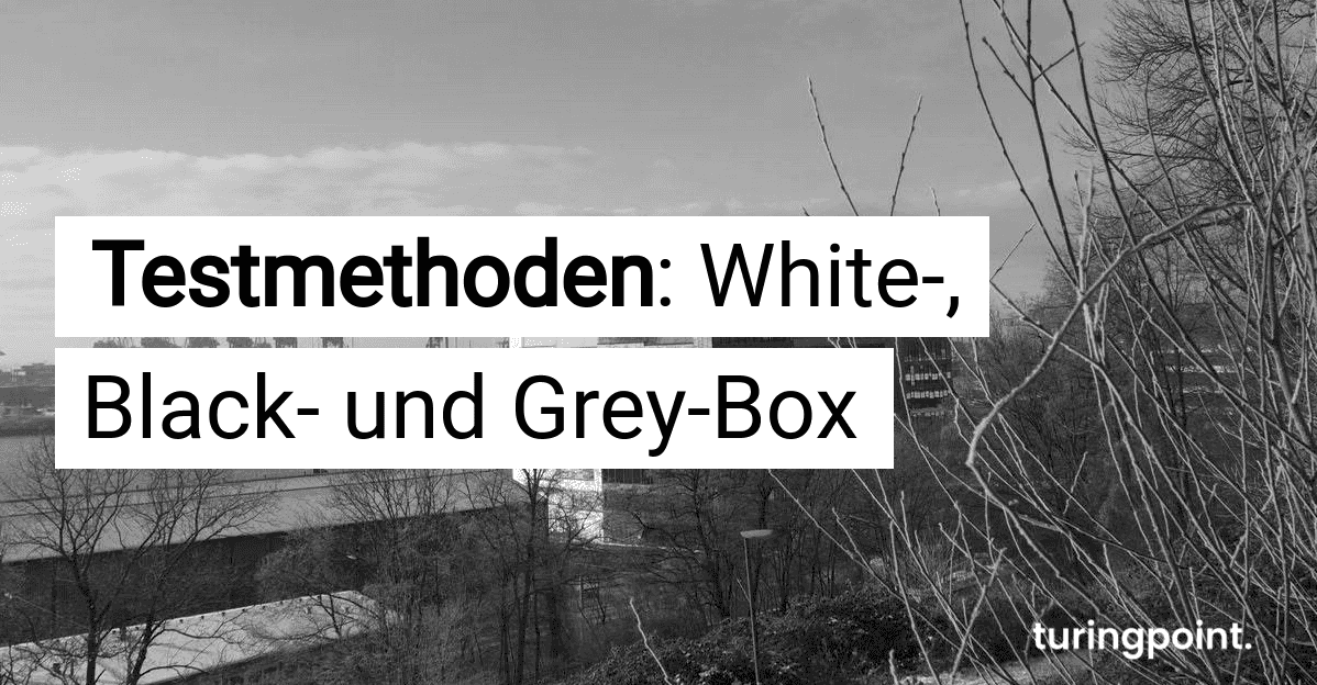 testmethoden_white_box_black_box_und_grey_box_8695dcbe77